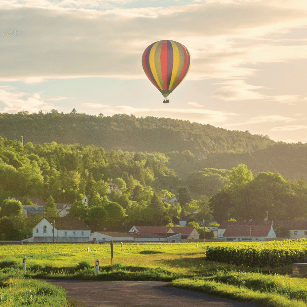Domaine Roux pere & Fils 