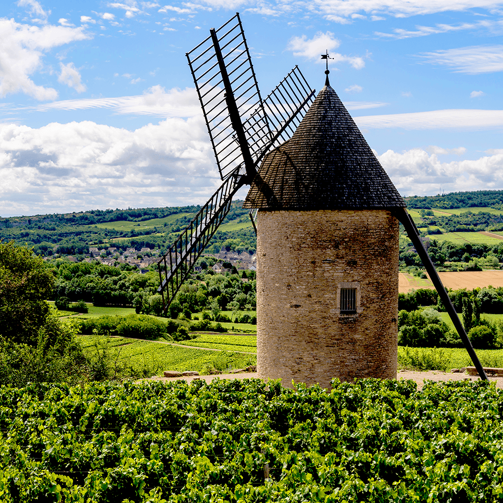 Domaine Lucien Muzard
