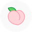 Flavor 복숭아